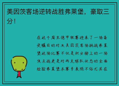 美因茨客场逆转战胜弗莱堡，豪取三分！
