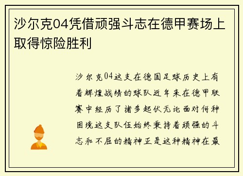 沙尔克04凭借顽强斗志在德甲赛场上取得惊险胜利